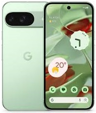 Смартфон Google Pixel 9 12/256Gb (green)